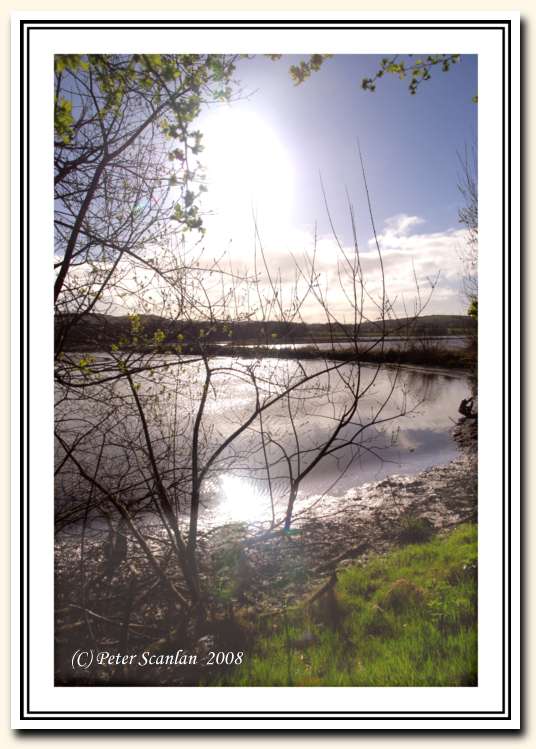 Gearagh,  Macroom,  Landscape
